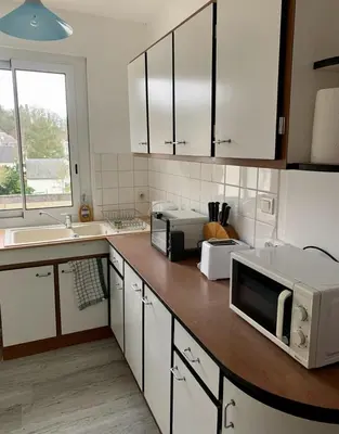 Cuisine ou kitchenette dans l'établissement Appartement centre ville Chateau-Renault