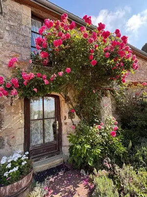Jardin de l'établissement Domaine les roses du vieux chai