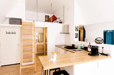 Cuisine ou kitchenette dans l'établissement Mirabeau Sous Les Toits - Tours