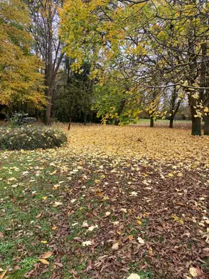 Jardin de l'établissement La Durellerie
