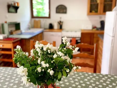 Cuisine ou kitchenette dans l'établissement Gîte à Oisly près des Châteaux de la Loire avec Parking et Animaux Bienvenus - FR-1-491-469