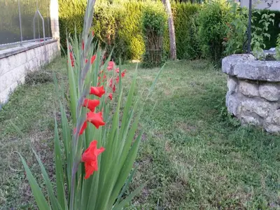 Jardin de l'établissement Chambres D'hôtes du Plessis