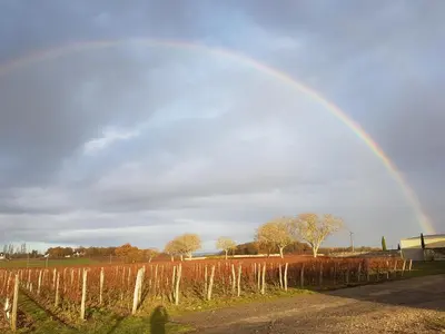 Plan de l'établissement Gite 2min de Saumur