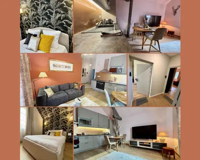 Télévision ou salle de divertissement dans l'établissement Le Kozy - Appartement 2 pièces rénové au coeur de Vendôme avec parking