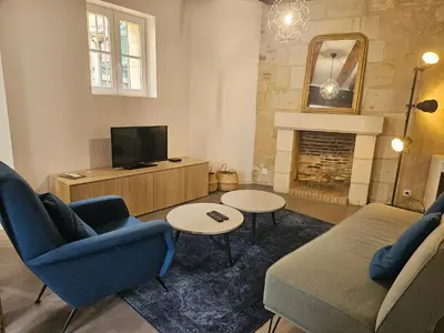 Télévision ou salle de divertissement dans l'établissement Charme Place Chateauneuf - Coeur de Tours