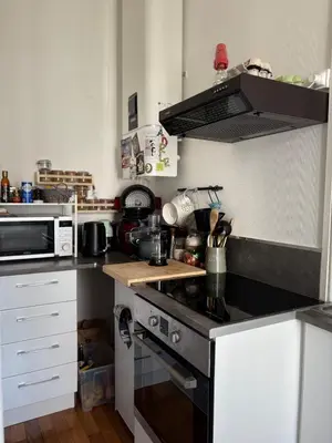 Cuisine ou kitchenette dans l'établissement Cozy apartment