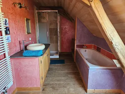 Salle de bains dans l'établissement Eco-friendly house, near Angers5 bedrooms, 2 bathrooms