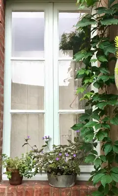 Jardin de l'établissement La Petite Maison d'à Côté