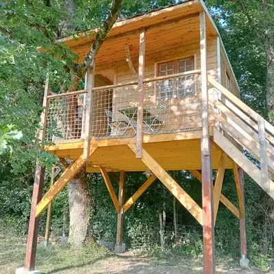 cabane perchée et le chêne