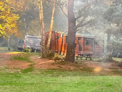 Jardin de l'établissement Chalet dans les bois