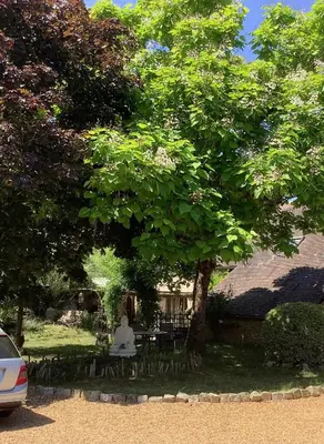 Jardin de l'établissement Sunflower Cottage