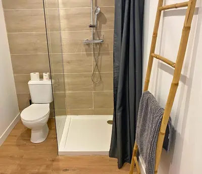Salle de bains dans l'établissement Beau Duplex moderne et calme - gare & centre - idéal pro-couple-famille