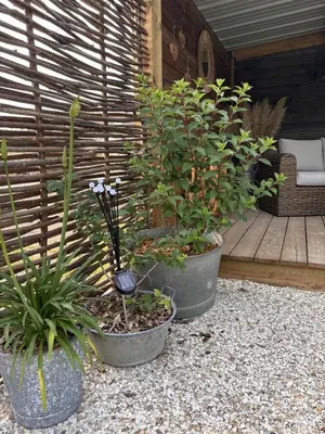 Jardin de l'établissement La Cabane Mini Enchantée !