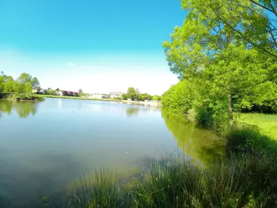 Paysage naturel près de le camping