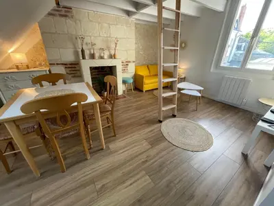 Cuisine ou kitchenette dans l'établissement Le Cocon du Rempart Studio de charme avec mezzanine TOURS centre