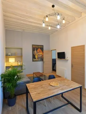 Télévision ou salle de divertissement dans l'établissement Appartement coeur de ville