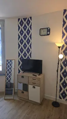 Télévision ou salle de divertissement dans l'établissement L'écrin de Loire