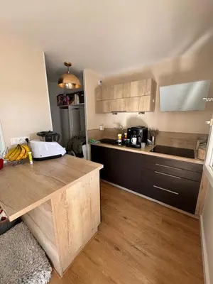 Cuisine ou kitchenette dans l'établissement Appartement Saint Cyr sur Loire