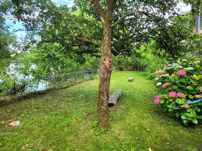 Jardin de l'établissement Maison troglodyte