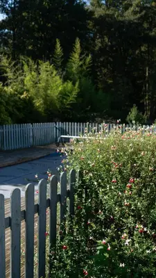 Jardin de l'établissement Domaine du Turbais