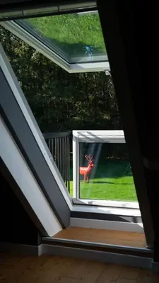 Jardin de l'établissement Domaine du Turbais