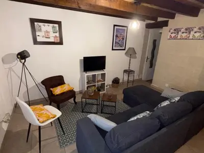 Télévision ou salle de divertissement dans l'établissement Maison Cosy Saumur