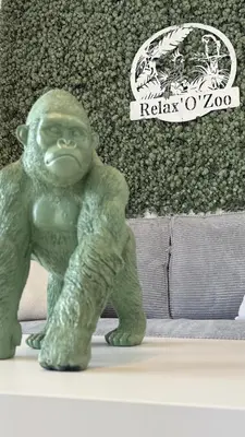 Plan de l'établissement Gîte Relax'O'Zoo à 4min du Zoo