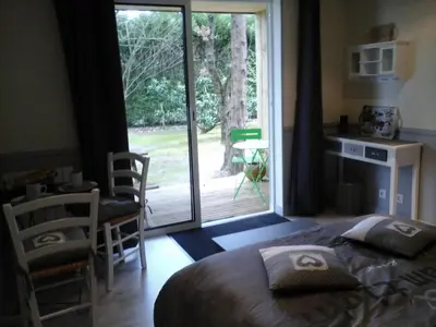 Coin salon dans l'établissement Chambre D'hôte De La Rotterie