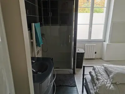 Salle de bains dans l'établissement T2 COMPLET BLOIS Centre 38 M2-Parking et linge inclus