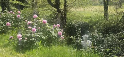 Jardin de l'établissement Maison avec spa privatif, piscine, poele à bois Domaine de la Moyendrie