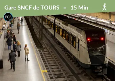 Clients de l'établissement #2 - Central Tours VERT - Hypercentre