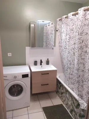 Salle de bains dans l'établissement T3 COSY 2 chambres proche TOURS