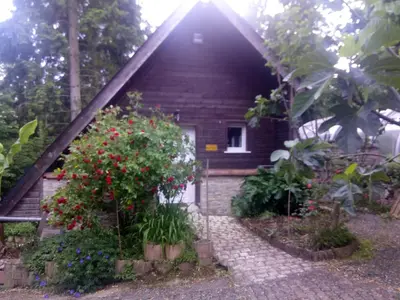 Jardin de l'établissement Maison Bois 