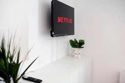 Télévision ou salle de divertissement dans l'établissement Joli cocon calme centre Blois