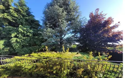 Jardin de l'établissement Le Cocon d'Ellie M