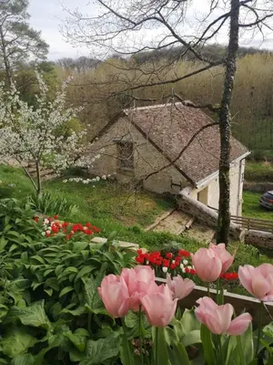 Paysage naturel près de la maison de vacances