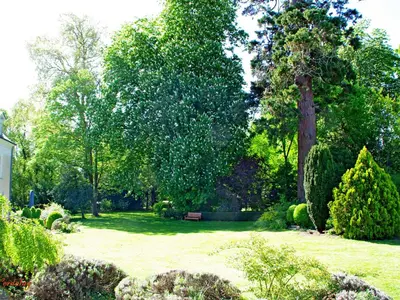 Jardin de l'établissement Chambres d'hôtes spacieuses près de la Loire - FR-1-622-116