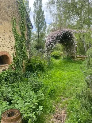 Jardin de l'établissement Maison Mare