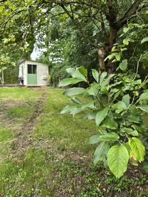 Jardin de l'établissement Trianon Camp's - Micro-camping privatif proche château de Villandry