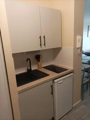Cuisine ou kitchenette dans l'établissement T1 cosy 4 personnes à Tours Nord