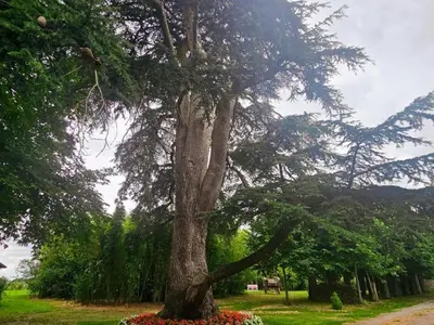 Jardin de l'établissement Gîte authentique en Touraine, piscine chauffée, animaux admis - FR-1-381-632