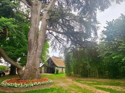 Jardin de l'établissement Gîte authentique en Touraine, piscine chauffée, animaux admis - FR-1-381-632
