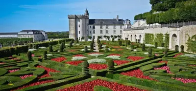 Jardin de l'établissement Appartement sympathique