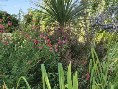 Jardin de l'établissement La Clef des Châteaux de la Loire, gîte cosy à la campagne avec accès piscine