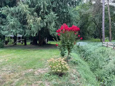Jardin de l'établissement La Bertiniere