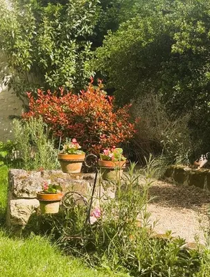 Jardin de l'établissement Abbaye Cottage - Maison entière - jardin - jacuzzi