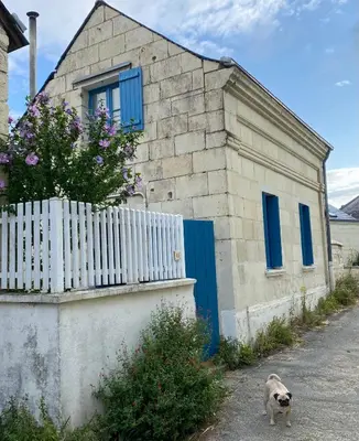 Animal ou animaux domestique(s) séjournant avec des clients dans l'établissement Casa Luna