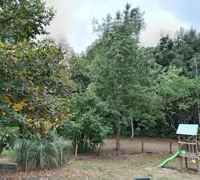 Jardin de l'établissement Entre campagne et forêt à 900m du zoo et au pied des pistes cyclables