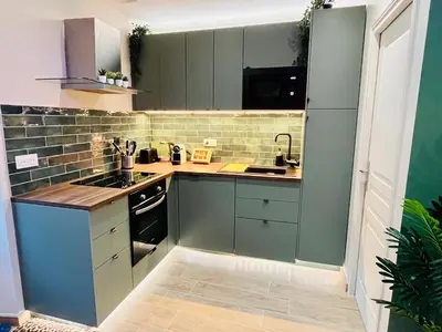 Cuisine ou kitchenette dans l'établissement Le Jungle 5 min du Zoo