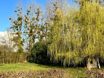 Jardin de l'établissement La Ruche Enchantée